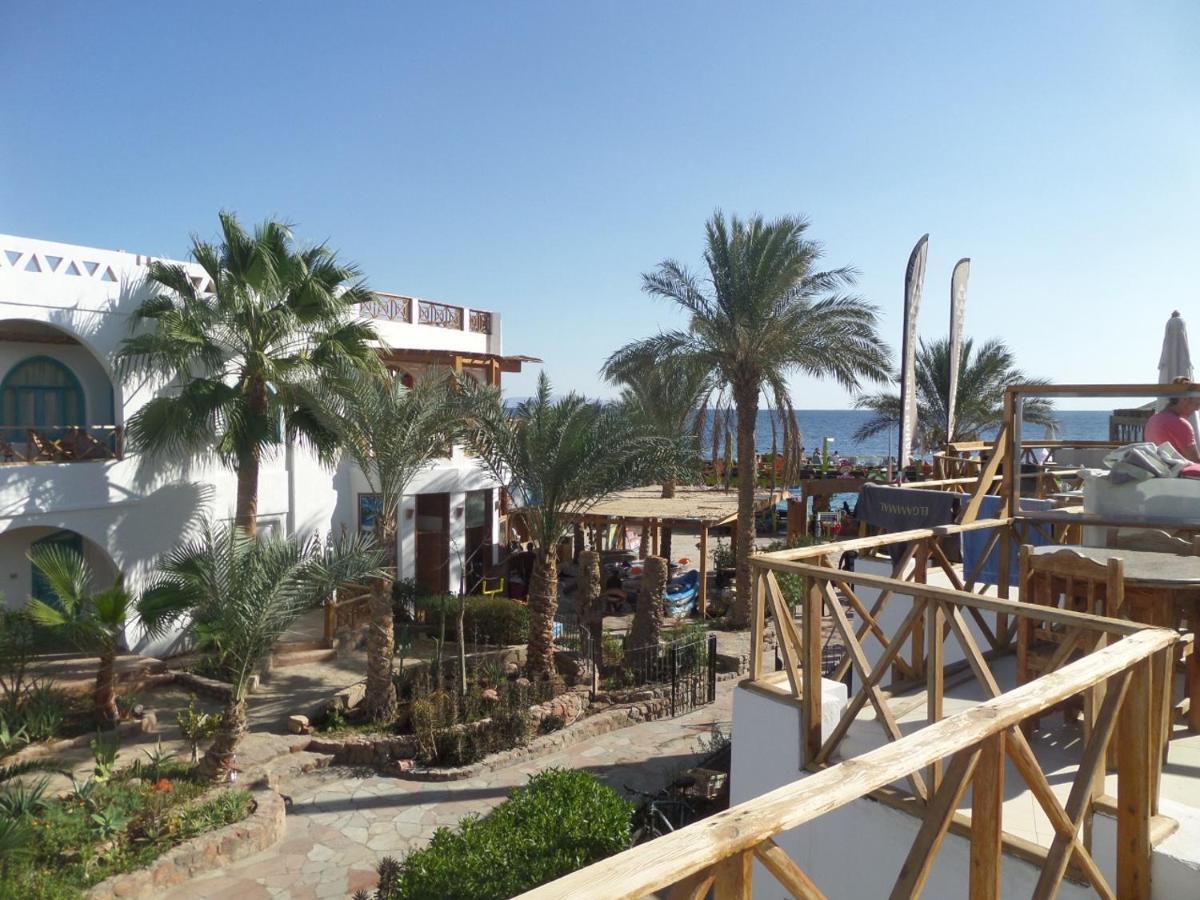 Red Sea Relax Dahab